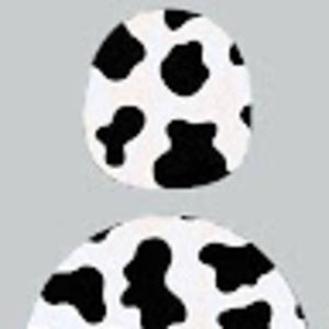 Meet your Posher, Isabelle